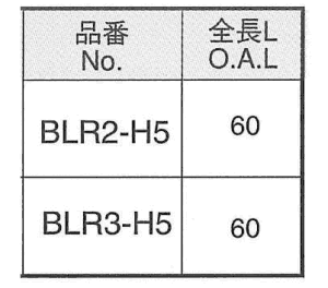 ライン穴用 LR(タンパープルーフ)ビット(H5)ピン付タイプ(電動ドライバー用)の寸法表