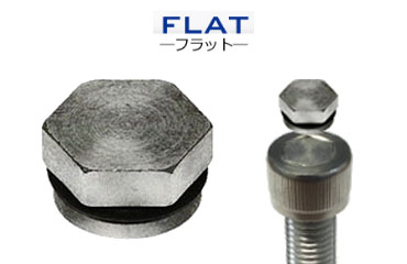 鋼 リセスインナー(フラットタイプ) (六角穴ふさぎ いたずら防止)の商品写真