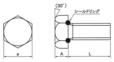 ステンレス シールボルト(六角ボルト・全ねじ)(緩み止加工処理)の寸法図