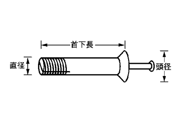 鉄 ルーティアンカー(Yタイプ)皿頭 (芯棒打込式)の寸法図