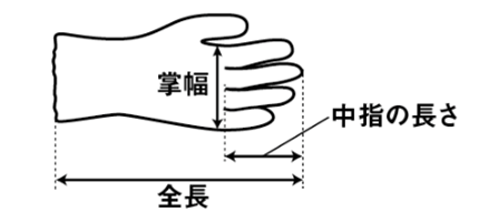 アトム プロテコーフィット 1561 (手甲保護手袋)の寸法図