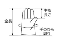 シモン 牛本革手袋 CG-718 (掌部/本革当て付き・袖口/マジック止め式)の寸法図