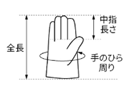 シモン 牛本革手袋 CG-714 (袖無し・親指/丸指型)の寸法図