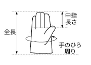 シモン 牛本革手袋 CG-717 (袖口/マジック止め式)の寸法図
