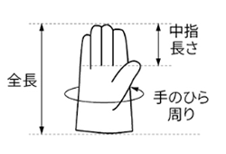 シモン 牛床革手袋 107AK (袖：11cm・17cm)(親指付根/床革当て付き)の寸法図