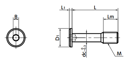 ステンレス 六角穴付きボルト(キャップスクリュー)(極低頭タイプ)(脱落防止)(SSCLS)(NBK製)の寸法図