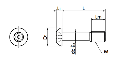 ステンレス SUS304(A2-50) ヘクサロビュラ穴付き脱落防止ボタンボルト (ピンつき)(SSC-SRBS)(10本入)の寸法図
