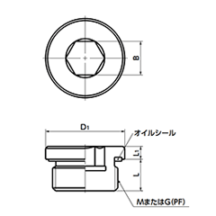 鉄(SUM22L) フランジ付き六角穴付きスクリュープラグ (オイルシール/緑)(細目)(SPN-H)(NBK製)の寸法図