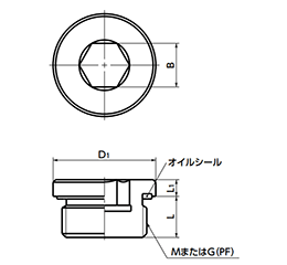 鉄(SUM22L) フランジ付き六角穴付きスクリュープラグ (オイルシール/NBR)(細目)(SPN-L)(NBK製)の寸法図