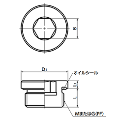 鉄(SUM22L) フランジ付き六角穴付きスクリュープラグ (オイルシール/緑)(管用平行ねじ/G/PF)(SPN-H-G)(NBK製)の寸法図